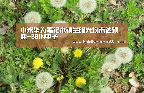 小米华为笔记本销量曝光均未达预期-BBIN电子(图1) BBIN官网
