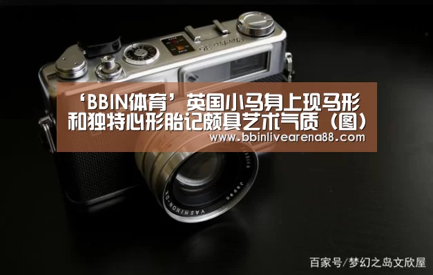 BBIN体育