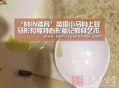 BBIN直播