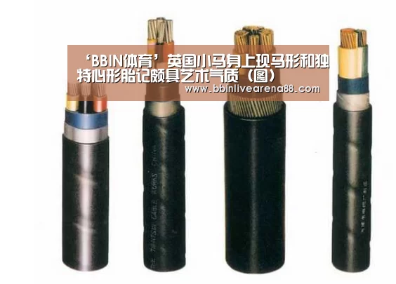 BBIN官网
