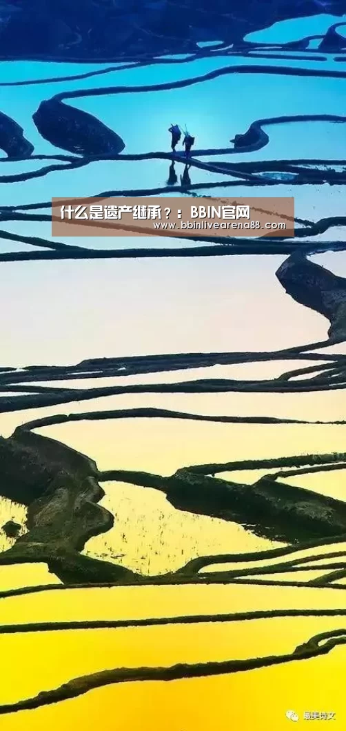 什么是遗产继承?:BBIN官网(图1) BBIN电子
