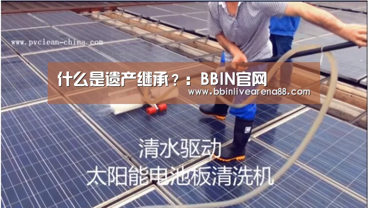 什么是遗产继承?:BBIN官网(图3) BBIN电子