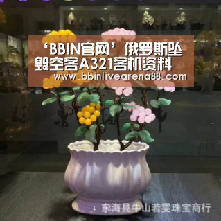 ‘BBIN官网’俄罗斯坠毁空客A321客机资料 最大航程5950公里(图1) BBIN电子
