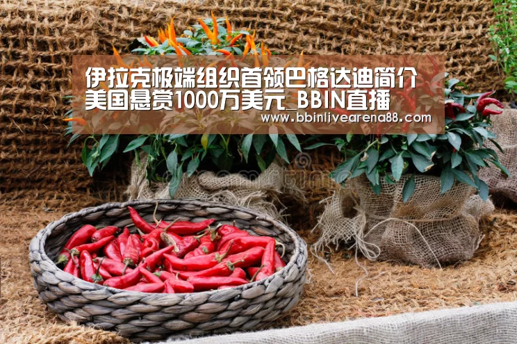 伊拉克极端组织首领巴格达迪简介 美国悬赏1000万美元_BBIN直播(图1) BBIN体育