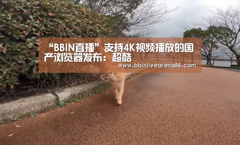 “BBIN直播”支持4K视频播放的国产浏览器发布:超酷(图4) BBIN官网