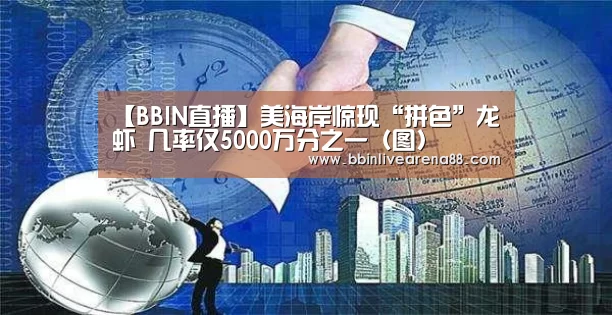 【BBIN直播】美海岸惊现“拼色”龙虾 几率仅5000万分之一(图)(图2) BBIN直播