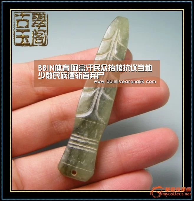 BBIN体育