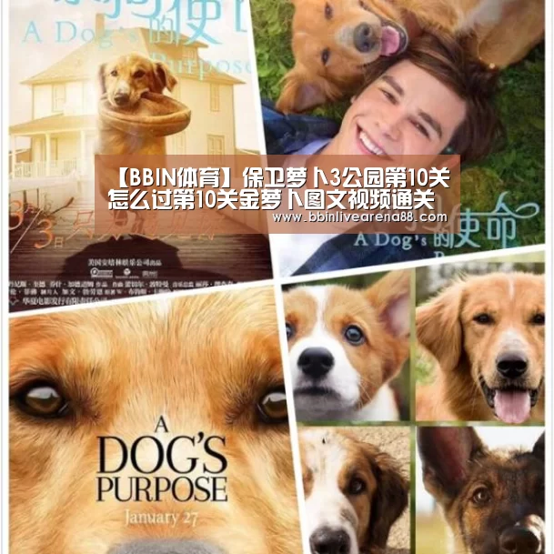 【BBIN体育】保卫萝卜3公园第10关怎么过第10关金萝卜图文视频通关攻略(图2) BBIN官网