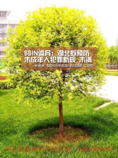 BBIN体育:湖北拟预防未成年人犯罪新规 未满16周岁禁独居(图1) BBIN体育
