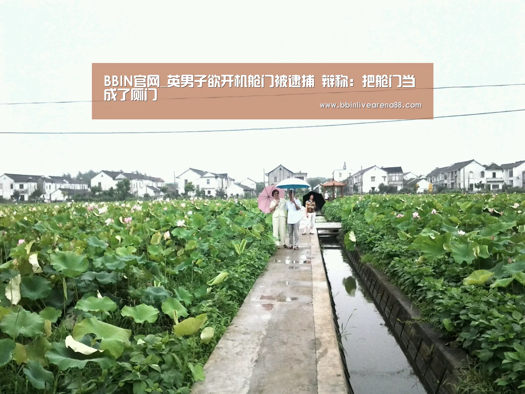 BBIN官网_英男子欲开机舱门被逮捕 辩称:把舱门当成了厕门(图4) BBIN体育