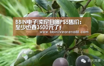 BBIN电子|索尼自曝PS5售价:至少也要3500元了!(图1) BBIN体育