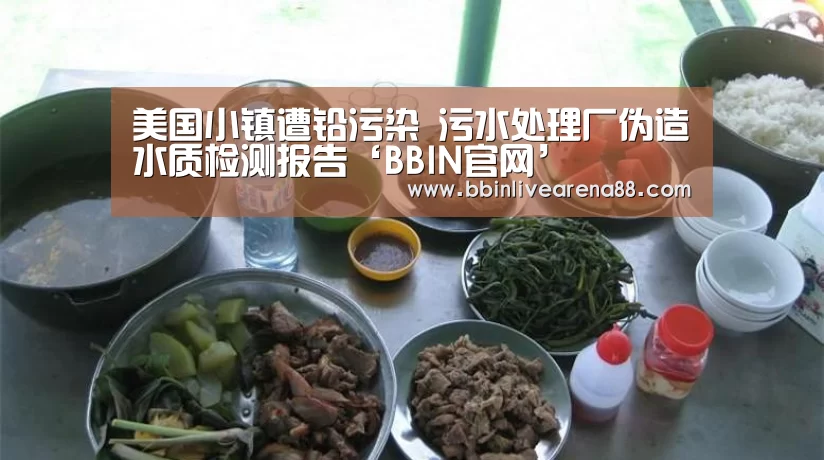 美国小镇遭铅污染 污水处理厂伪造水质检测报告‘BBIN官网’(图2) BBIN电子