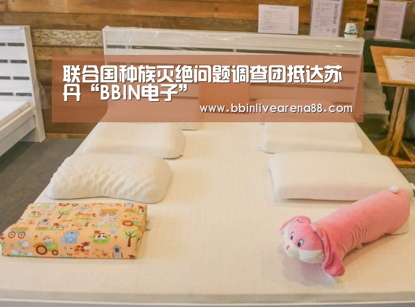 联合国种族灭绝问题调查团抵达苏丹“BBIN电子”(图1) BBIN体育