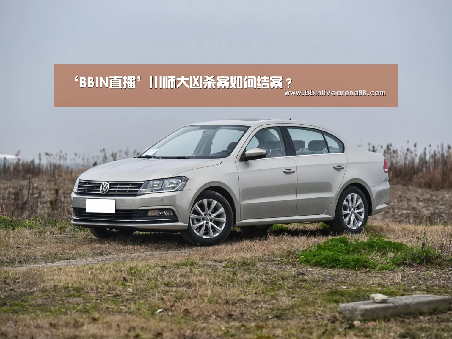 ‘BBIN直播’川师大凶杀案如何结案?(图3) BBIN电子